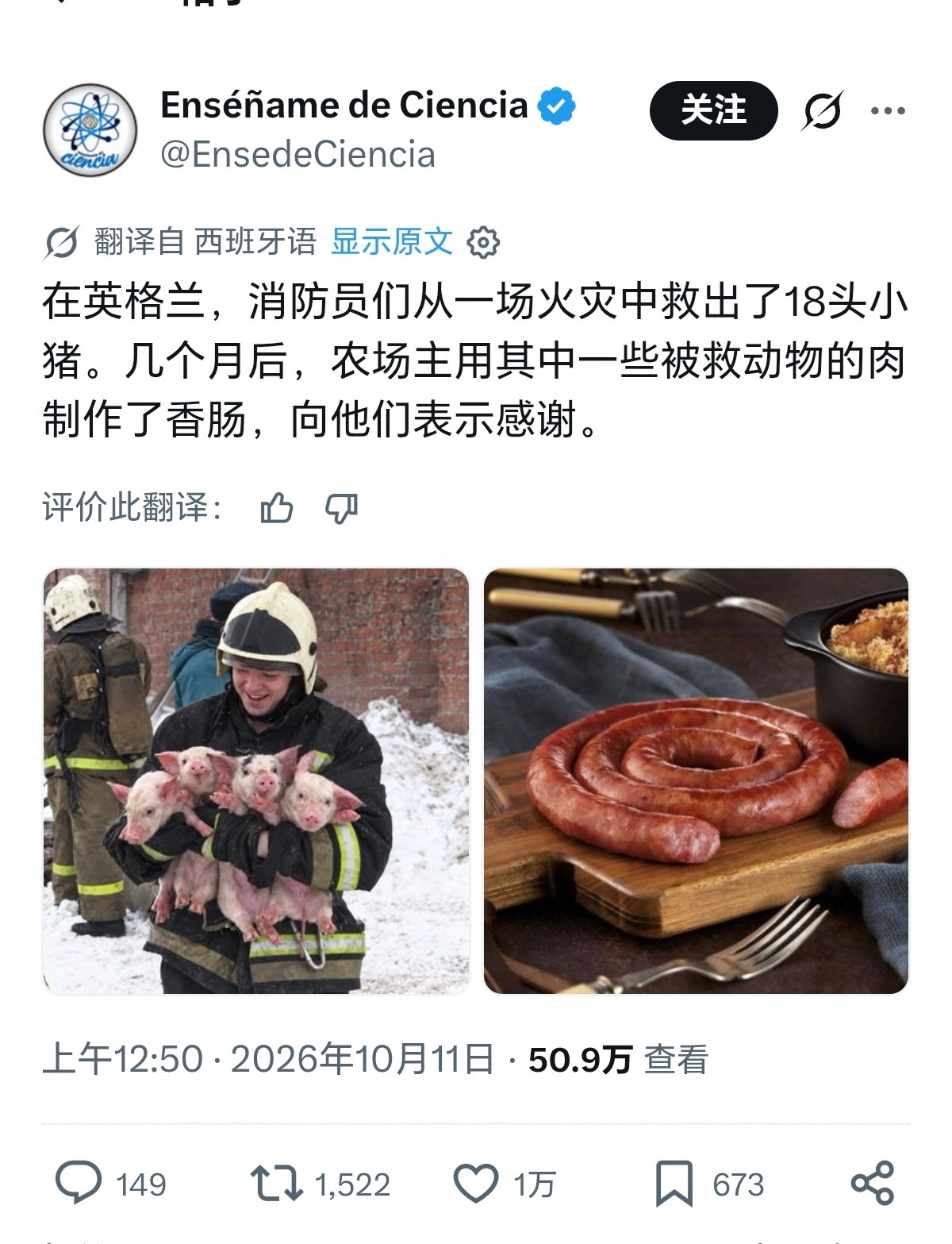 救来的猪，就是好吃。2017年2月，英格兰威尔特郡（Wiltshire）一处农场