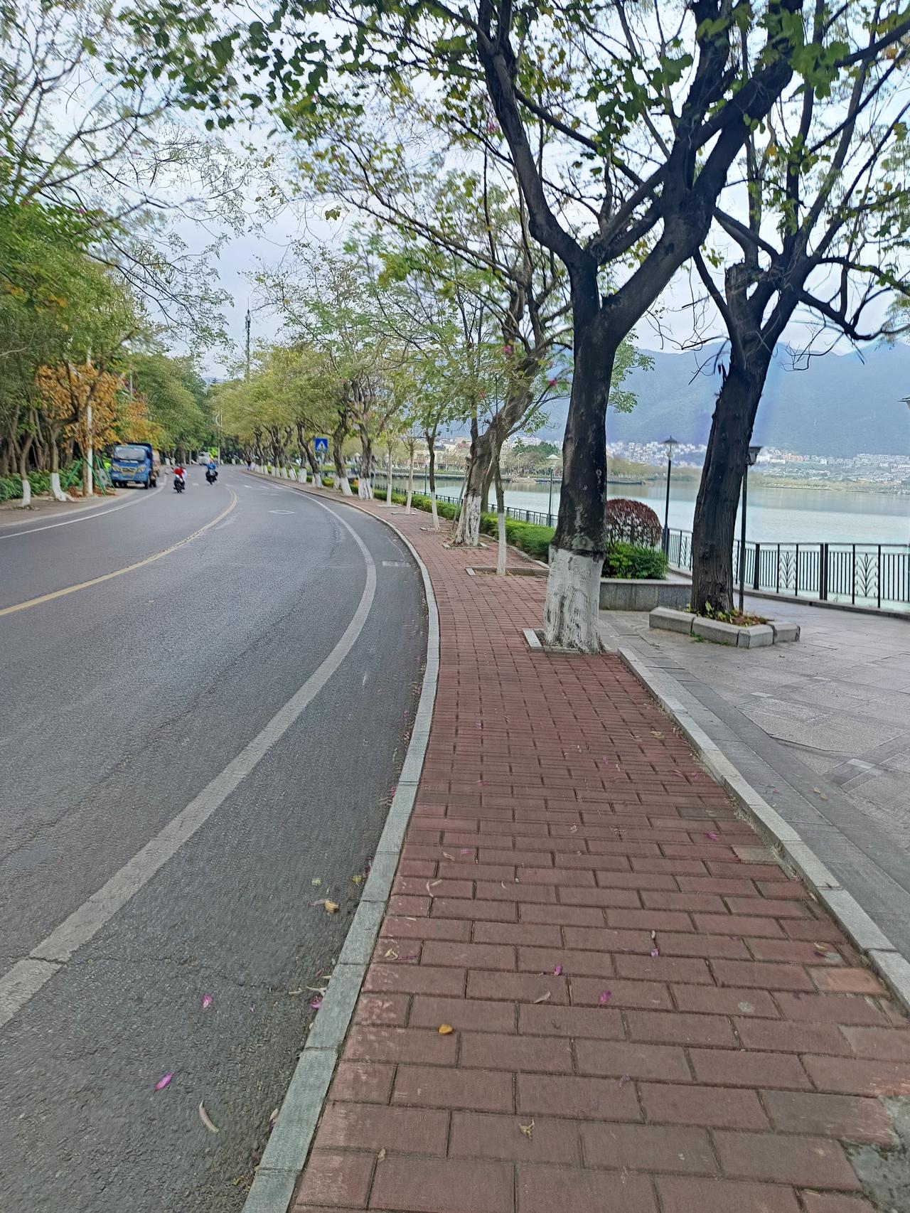 你敢相信吗？这里不是一个普通的风景区这里是肇庆市的5a级风景区，七星岩对面就