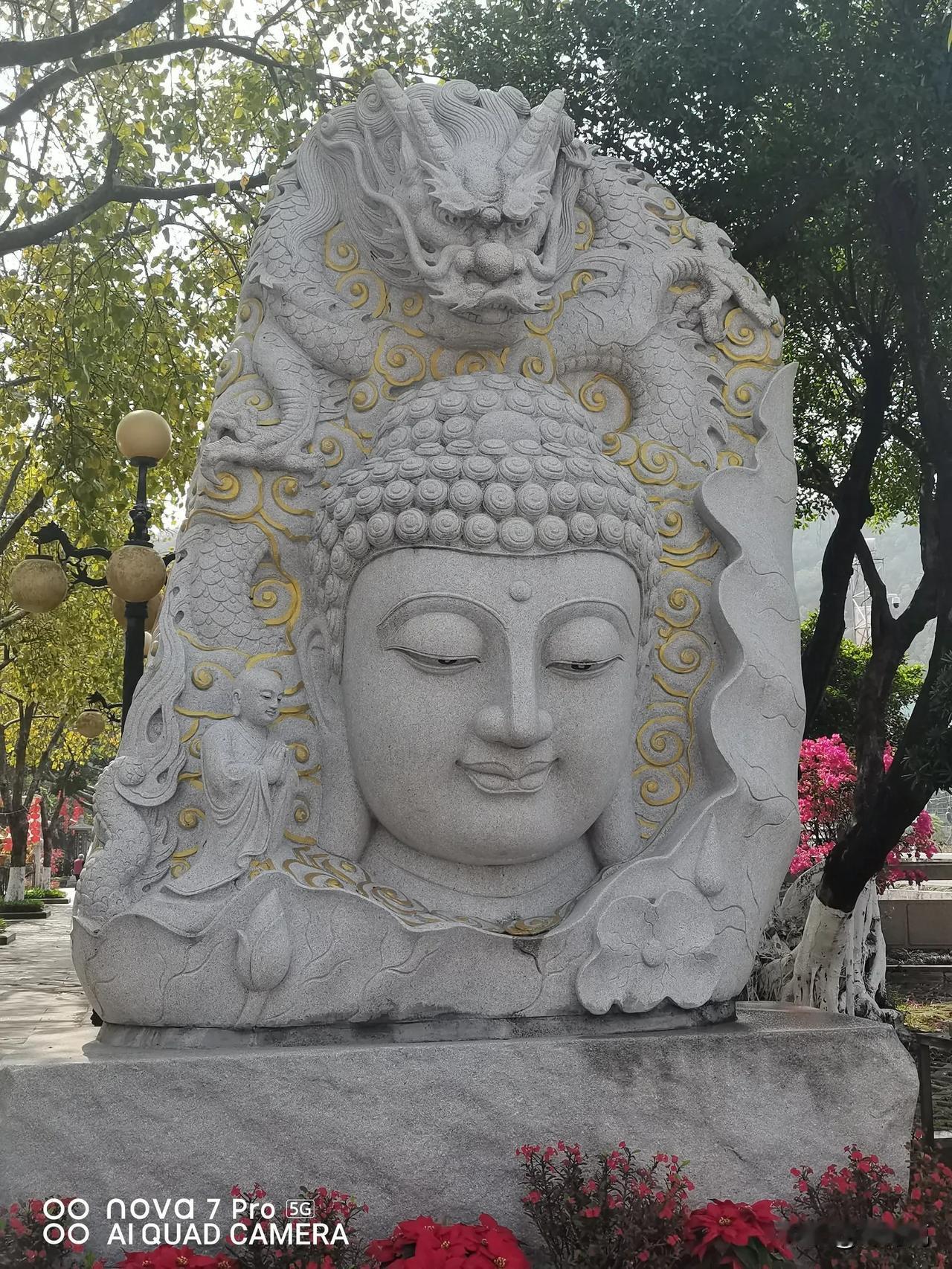 修行，当修八心:1、感恩心回向偈，上报四重恩，下济三途苦！这四