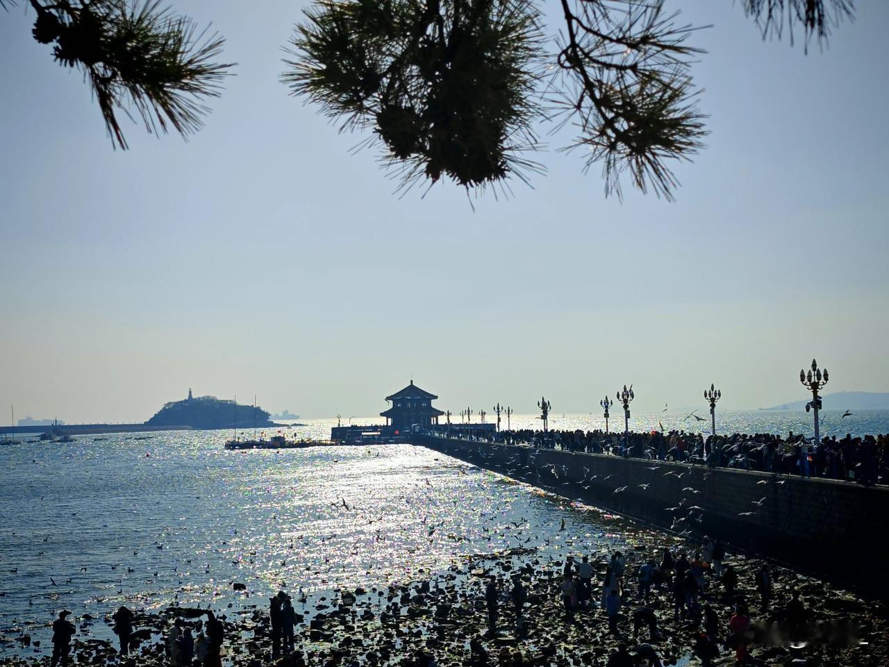 爱而不得！男子为“教训”女神的报警电话，竟把自己送进拘留所！近日，湖北黄冈武