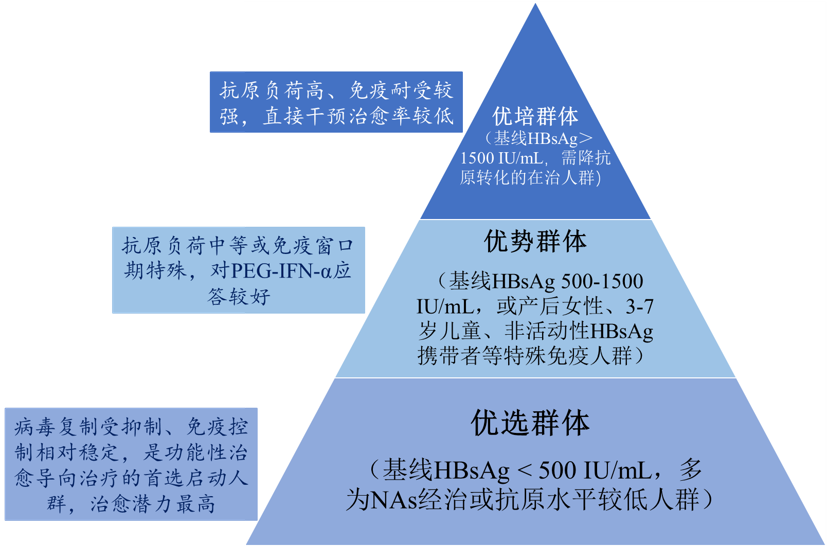 乙肝功能性治愈: 从“终身服药”到“有限疗程”的历史跨越