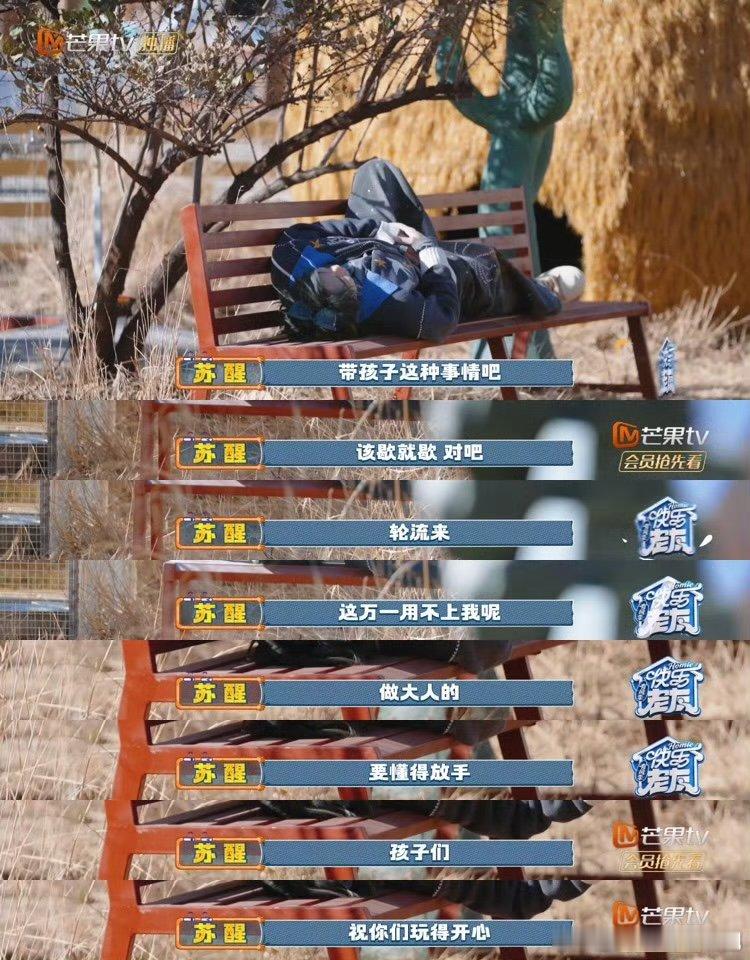 陈楚生介里不许猫睡觉厚米之家猫猫的悲伤：刚摊平准备午睡，就被生哥和小团子们围堵了