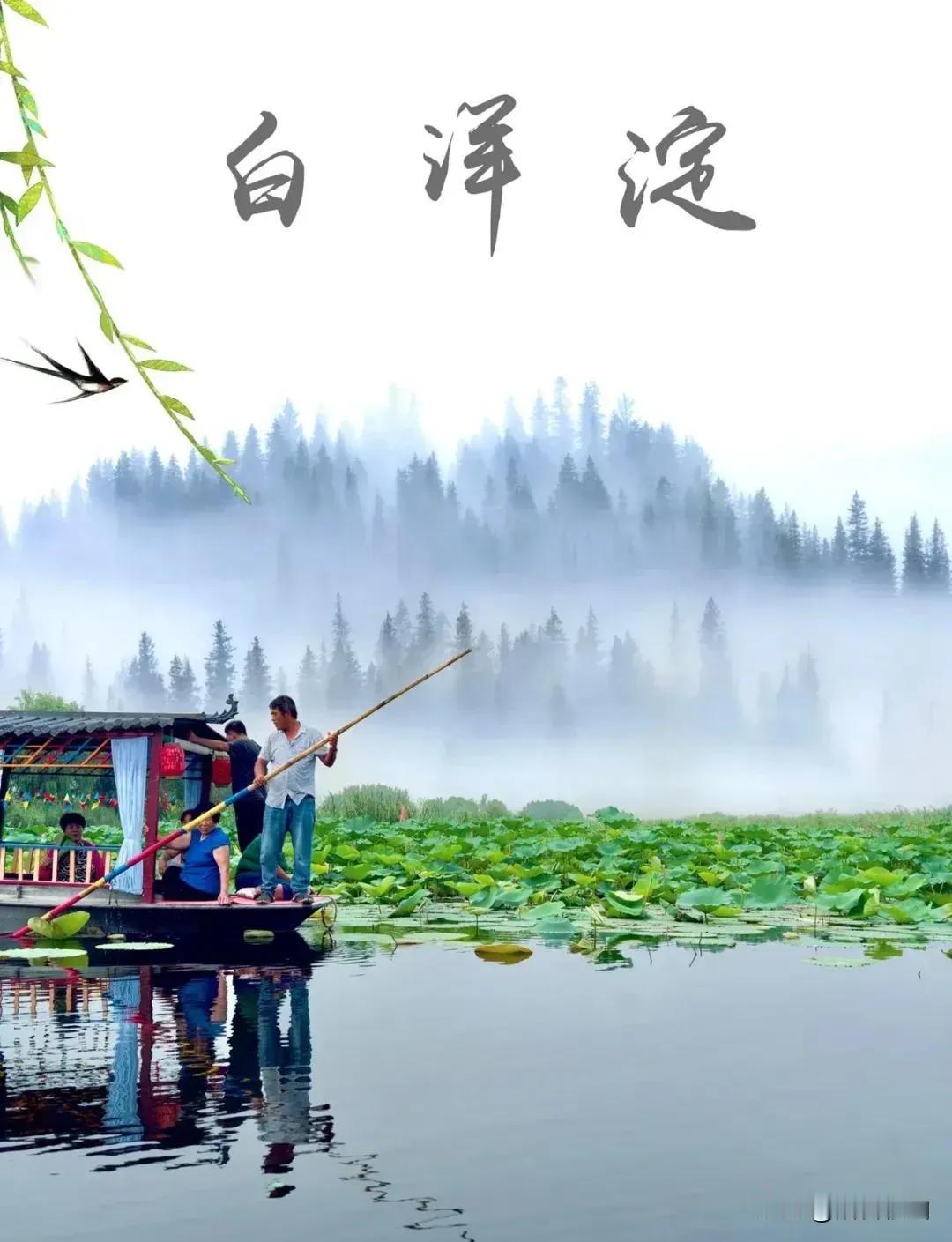 扎胎的终于刑拘了，游客也走光了！白洋淀为自己的狂妄付出代价！白洋淀的现状是：往