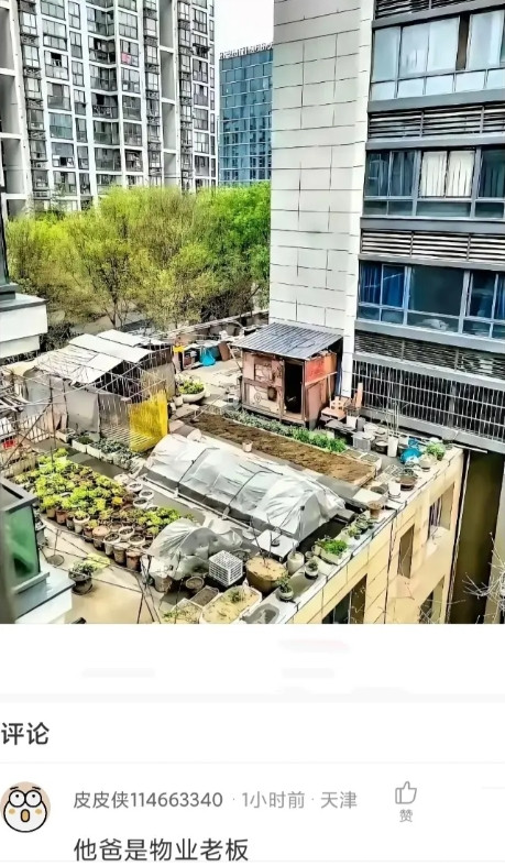 小区成这样了，物业有权管吗