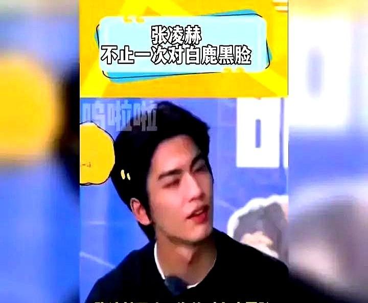 连个表情都没加，这事儿就算翻篇了。当初《宁安如梦》片场，张凌赫蹲下给白鹿系鞋