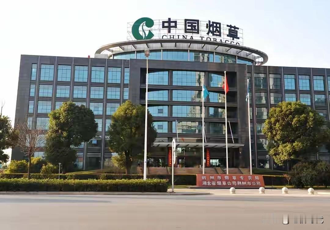 不吃学习的苦就要吃生活的苦？夫妻分别在烟草和电网，真是绝配。一年收入达50万左右