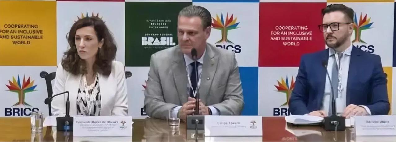 俄罗斯卫星通讯社于6月25日发布报道，参考消息网随后转载，报道指出巴西政府作为金