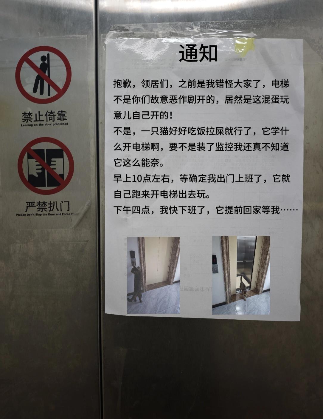 不好意思，真的误会大家了！