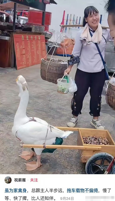 有时也是无力感