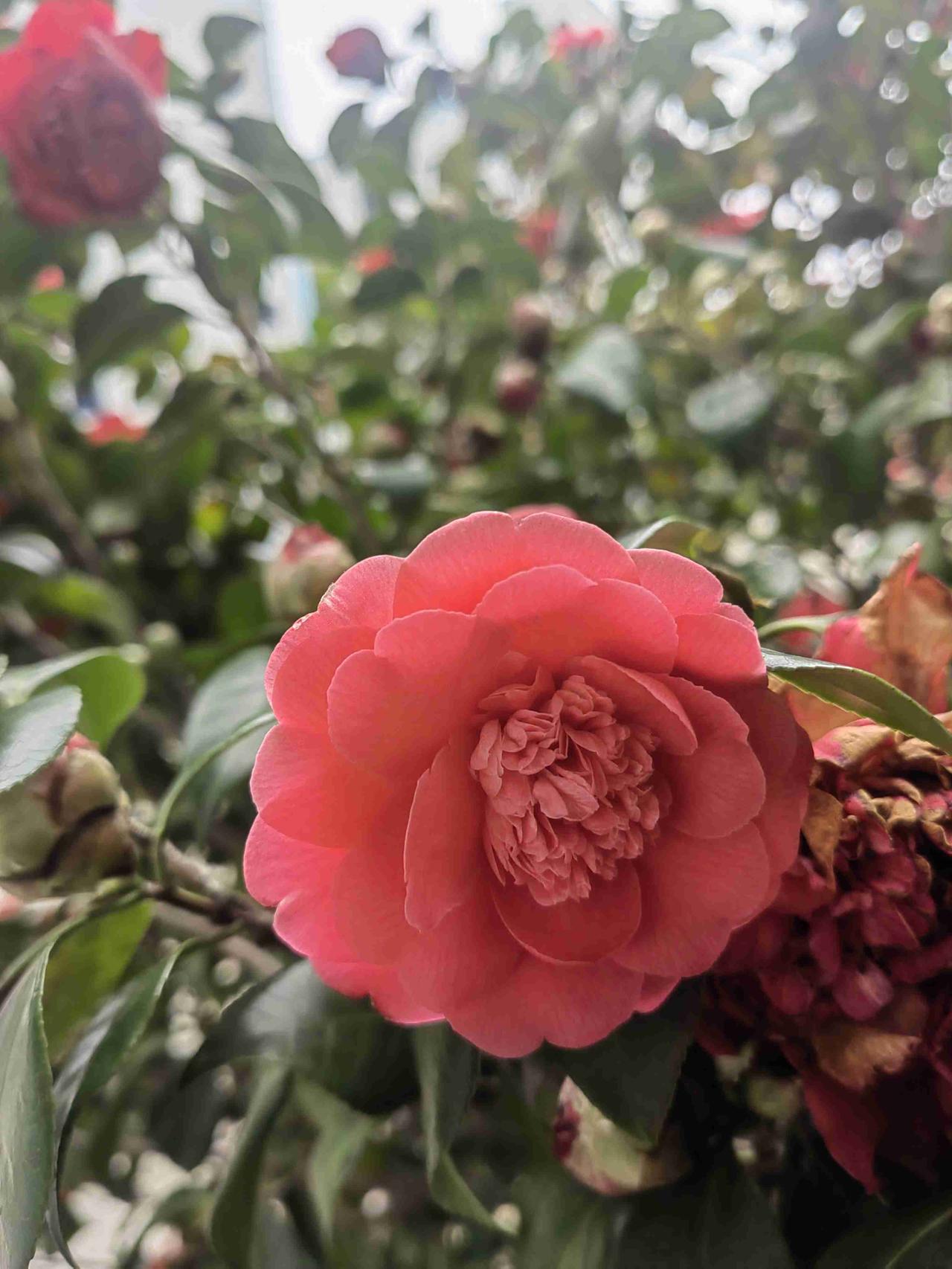 我的今日状态：🏝️旅行度假我这里的天气：☀️晴天