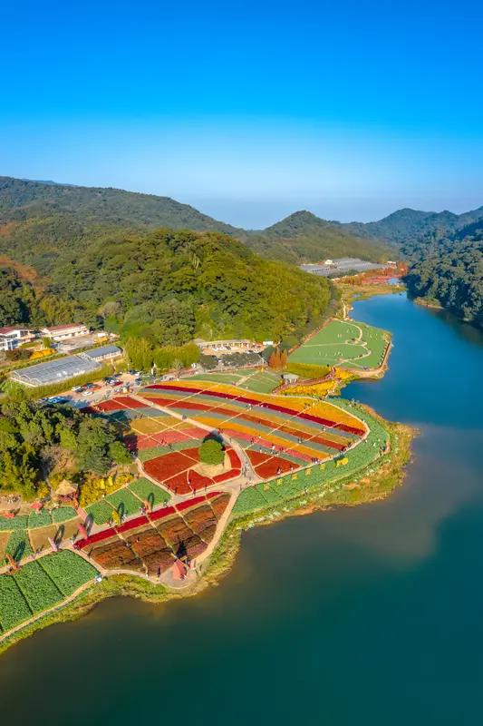 大自然里养生的好地方可不少。我首推温泉小镇，像腾冲，10月到次年3月去都很棒。在