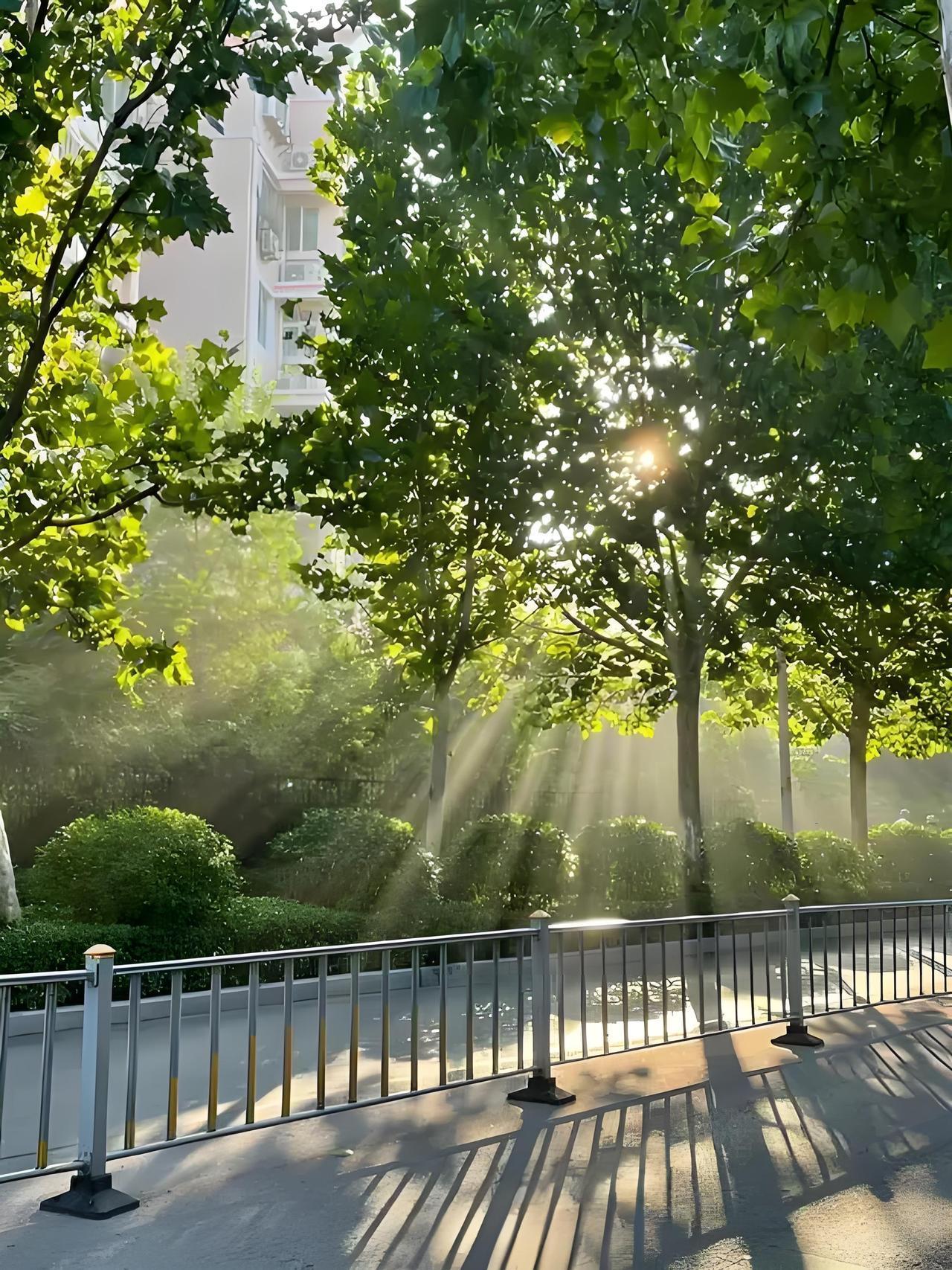 意义是你自己活出来的，核心是两件事：1.好好体验：你是宇宙中唯一能通过“