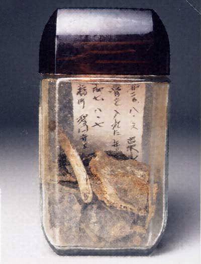 广岛原子弹爆炸后，一个名叫吉泽纯一的幸存者，从早已被抹平焚毁的家中，收集到的家人