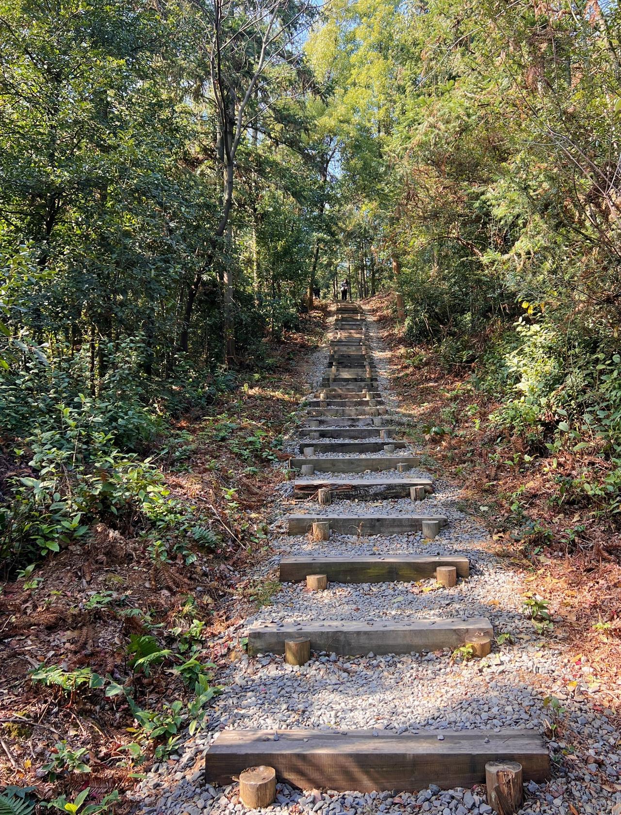 比起岳麓山，我更爱这条人少好爬的徒步路线📍长沙…周末避开密集人流！！享