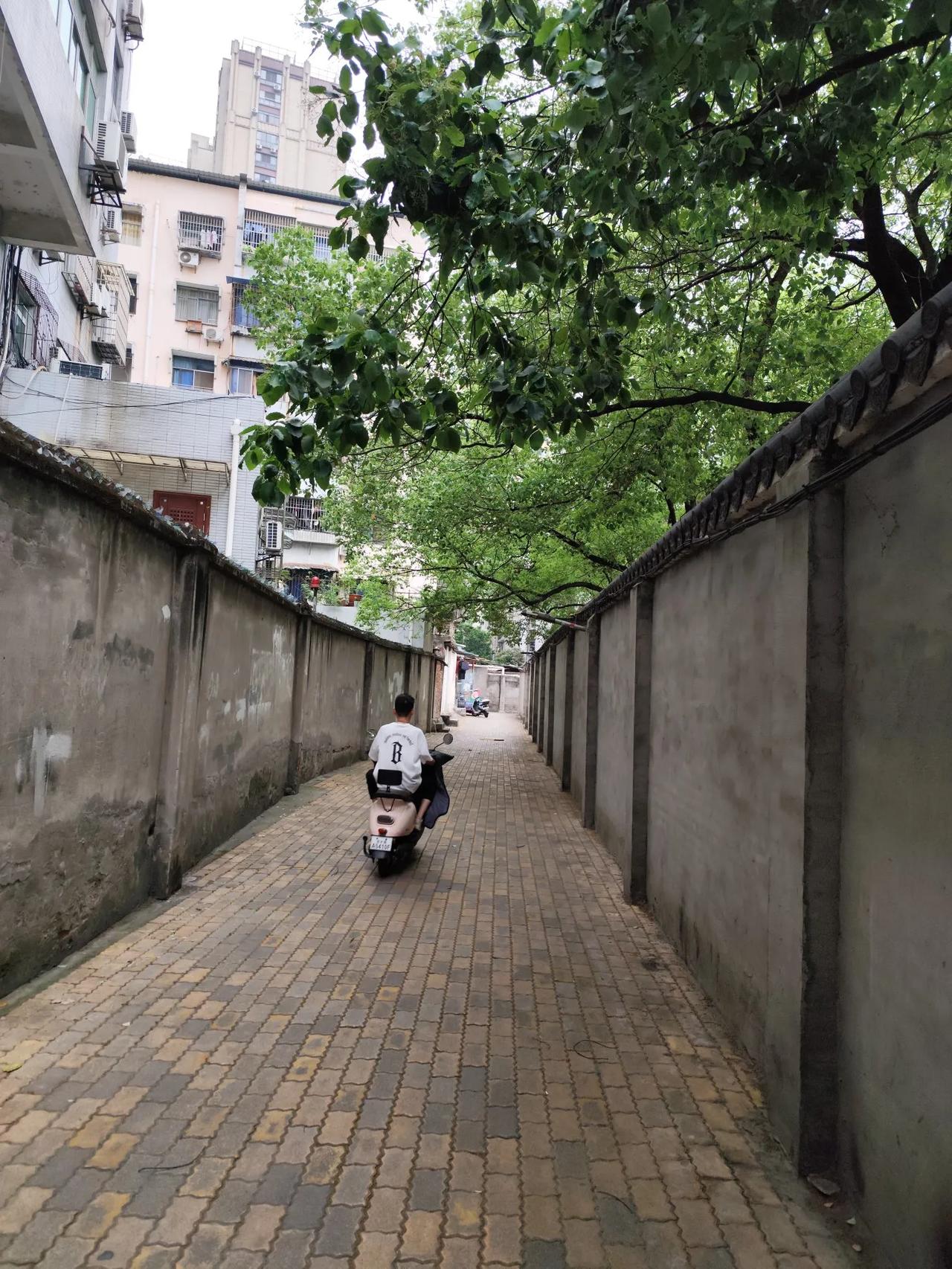 对于董明珠对于海归人士的说法尽管存在某些极端偏见，但也不能完全否定，那些完全否定