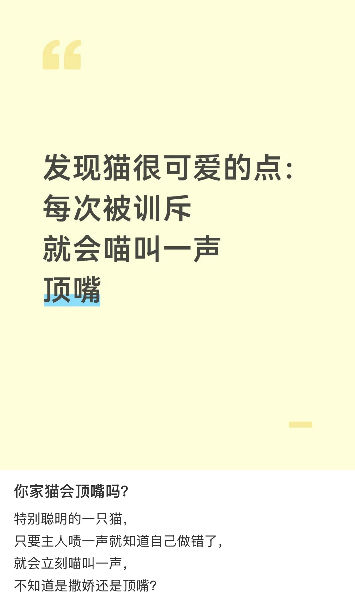 小猫被训会“喵”叫一声顶嘴