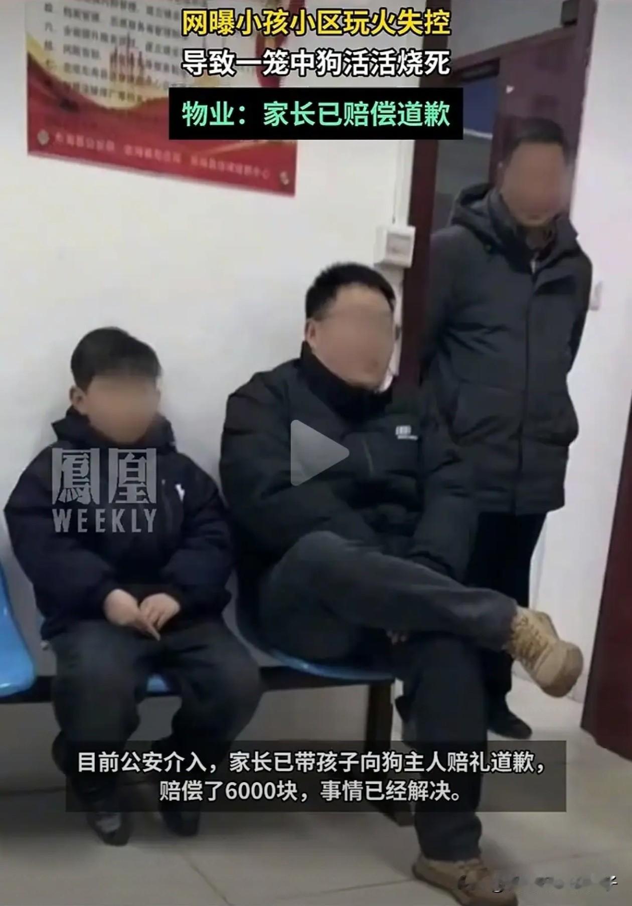 江苏两小孩玩火点燃狗棚这事，其实和白衣服男孩没啥关系，主要是黑衣的太坏了，拿着烟