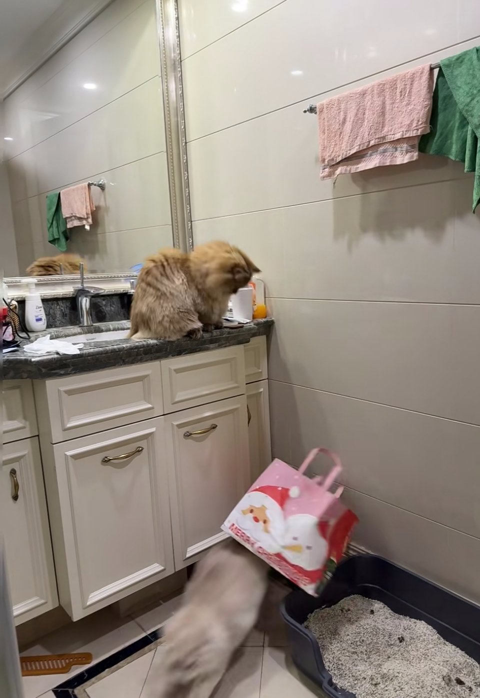 能让我在脆弱的时候，单独呆着吗？！