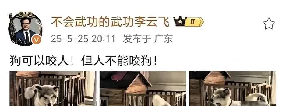 比亚迪负责人愤怒了发一组耐人寻味的图片李云飞：作为一个国际车企，形象非常