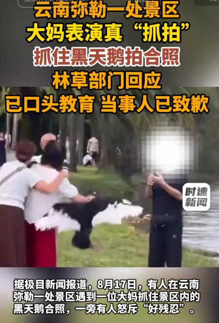 “太过分了！”8月19日起点新闻报道，云南弥勒湖泉生态园，有个老年旅行团过来游