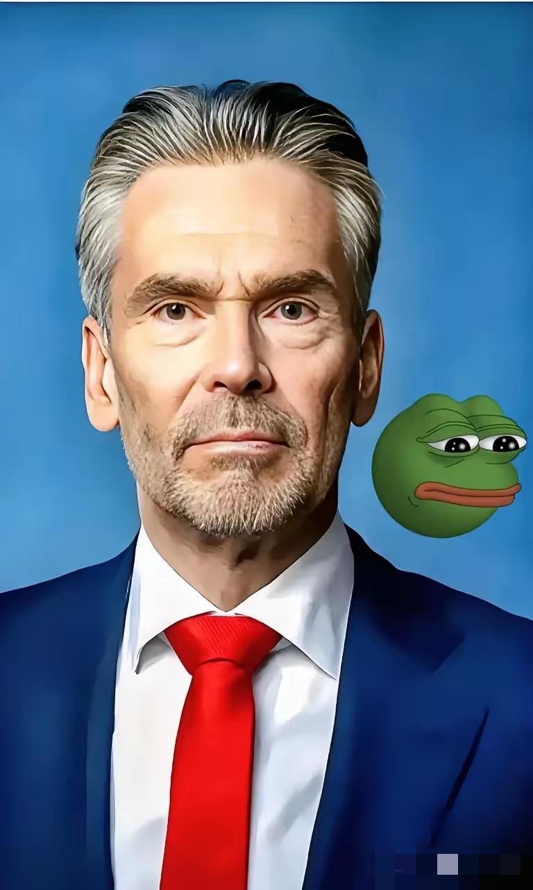 闻泰科技硬刚安世荷兰！11月28日，闻泰科技突然发声明，怒怼安世荷兰前一天的公