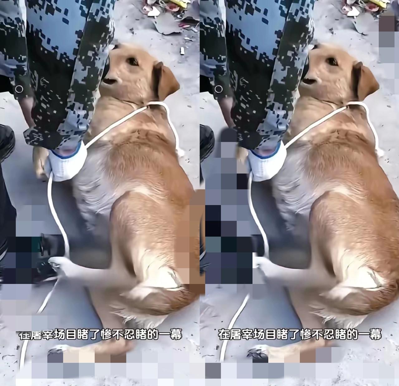 谁懂啊！村口那一幕直接戳中泪点！大哥办事路过村子，居然撞见有人把怀