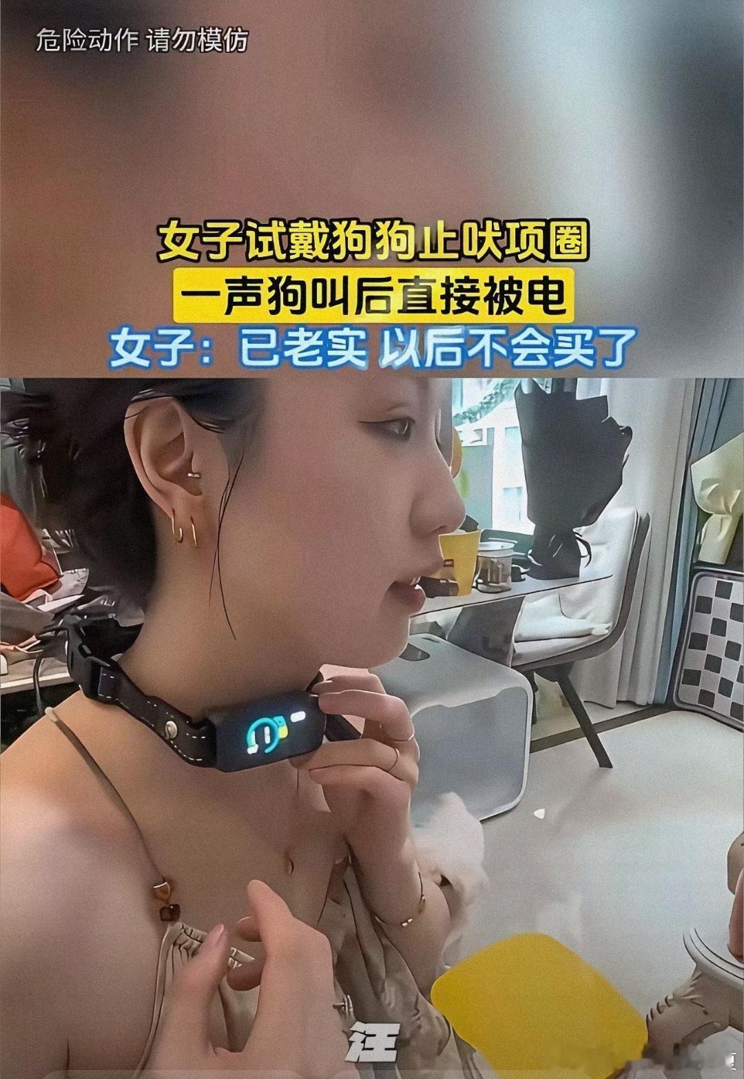 这次女子一定会长记性，绝对不会这么好奇了。女子试戴狗链子狗狗止吠圈，直接拿不掉了