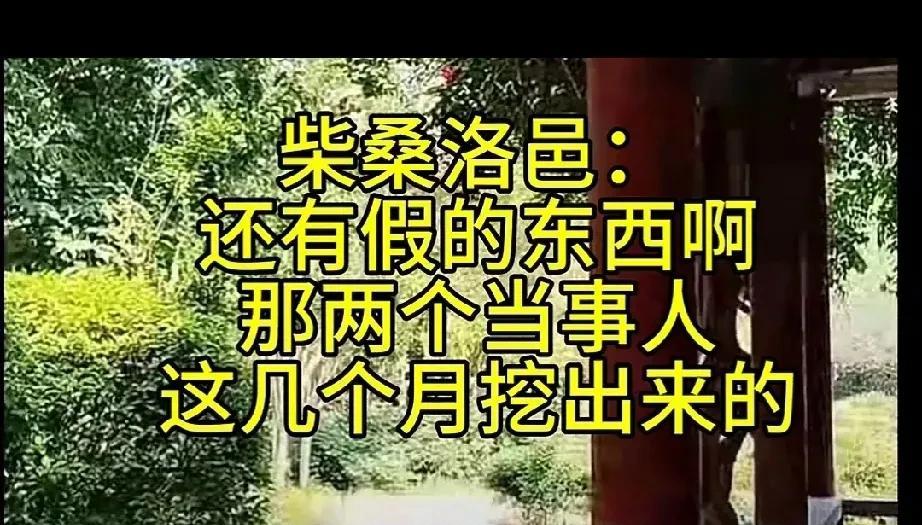 柴桑大姐宣布一个惊人的消息，简直让大家不敢相信，那两个当事人到底只有什么是真的呢