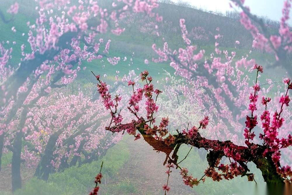 一条调剂信息弹出来，是个省一本的学生。我让他把简历发过来，文件下载，光标在屏幕