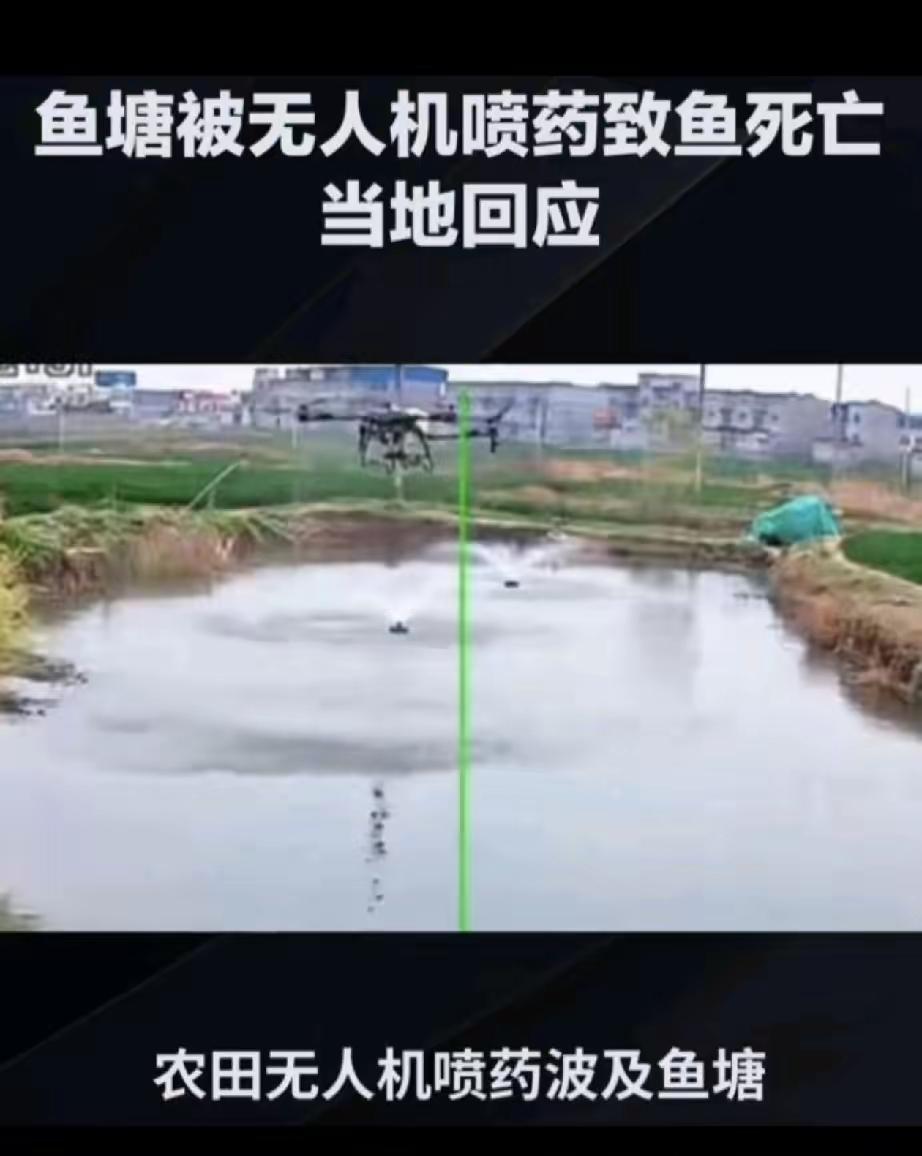 油菜花打药后，毒死蜜蜂我都觉得不算稀奇，可这次真的让人后背发凉。万万没想到农药