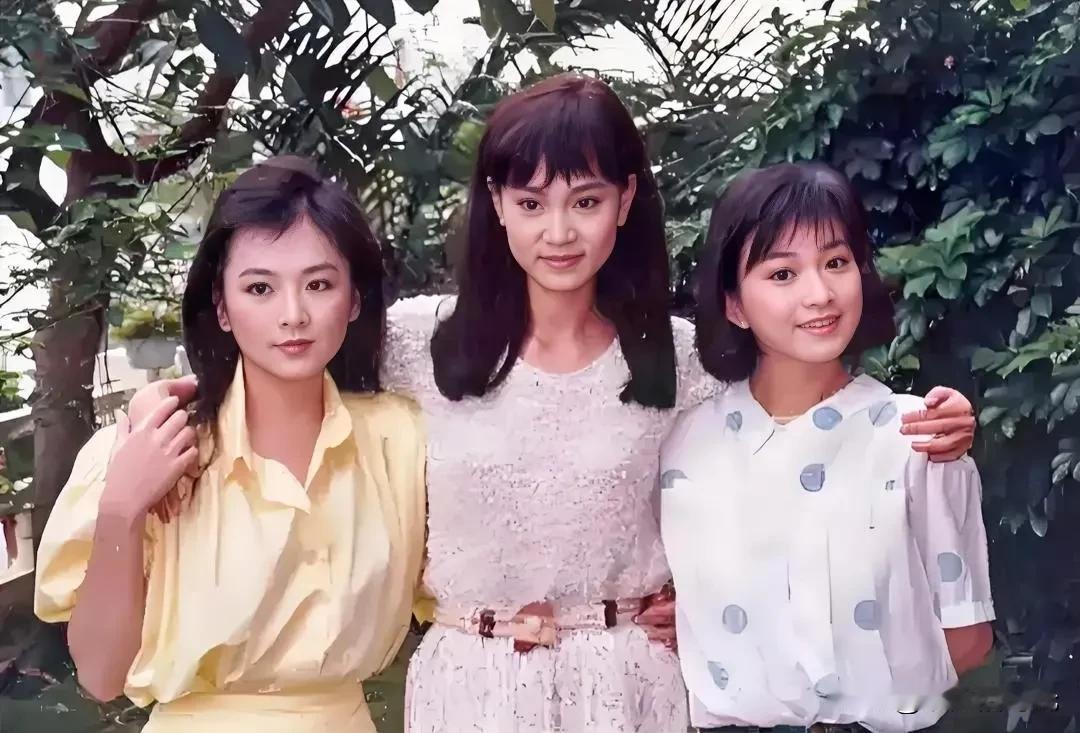 1985年，《几度夕阳红》在黄金时段播出，获得极大成功，琼瑶趁势用原班人马筹拍新