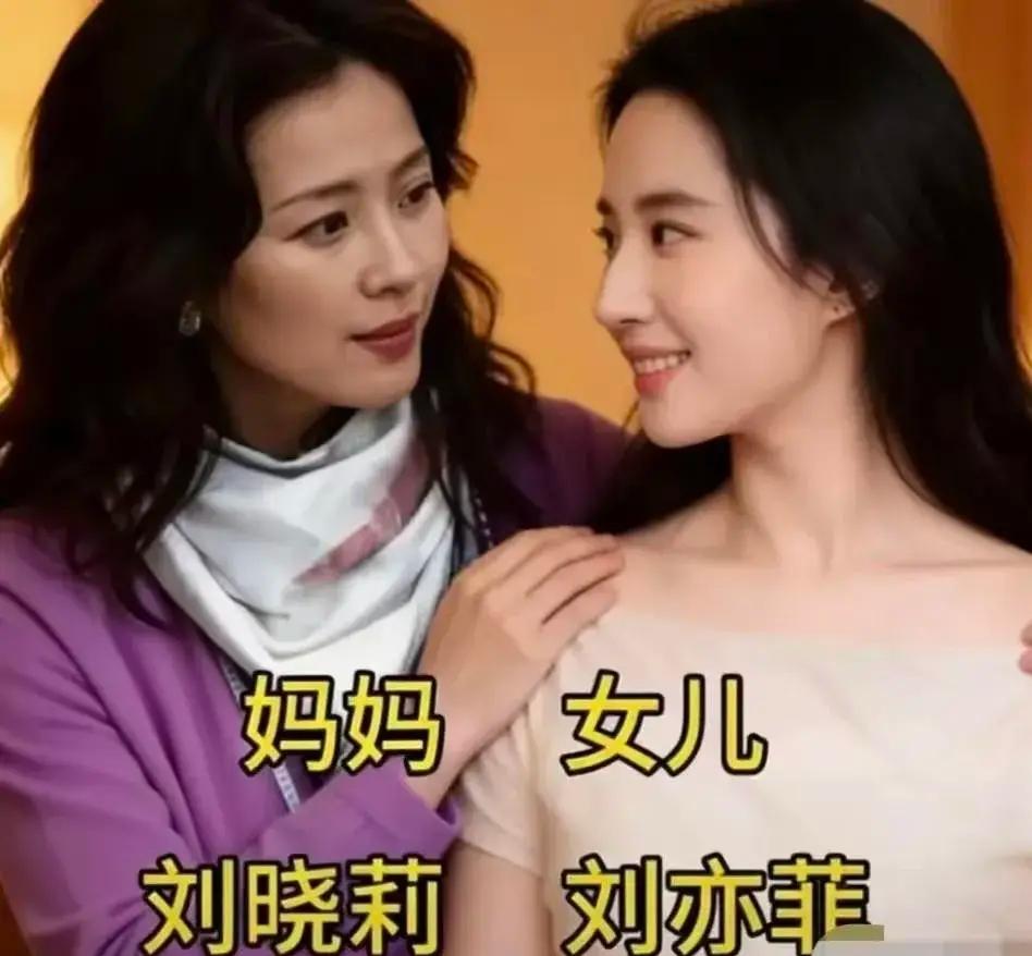 明星母女同框格外靓丽吸晴，就说刘亦菲不愧是小仙女，妈妈颜值超群，女儿就像复刻版，