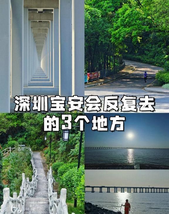 深圳宝安会反复去的3个地方🌿有些地方真的自带松弛魔力✨一到那里整个人就自动