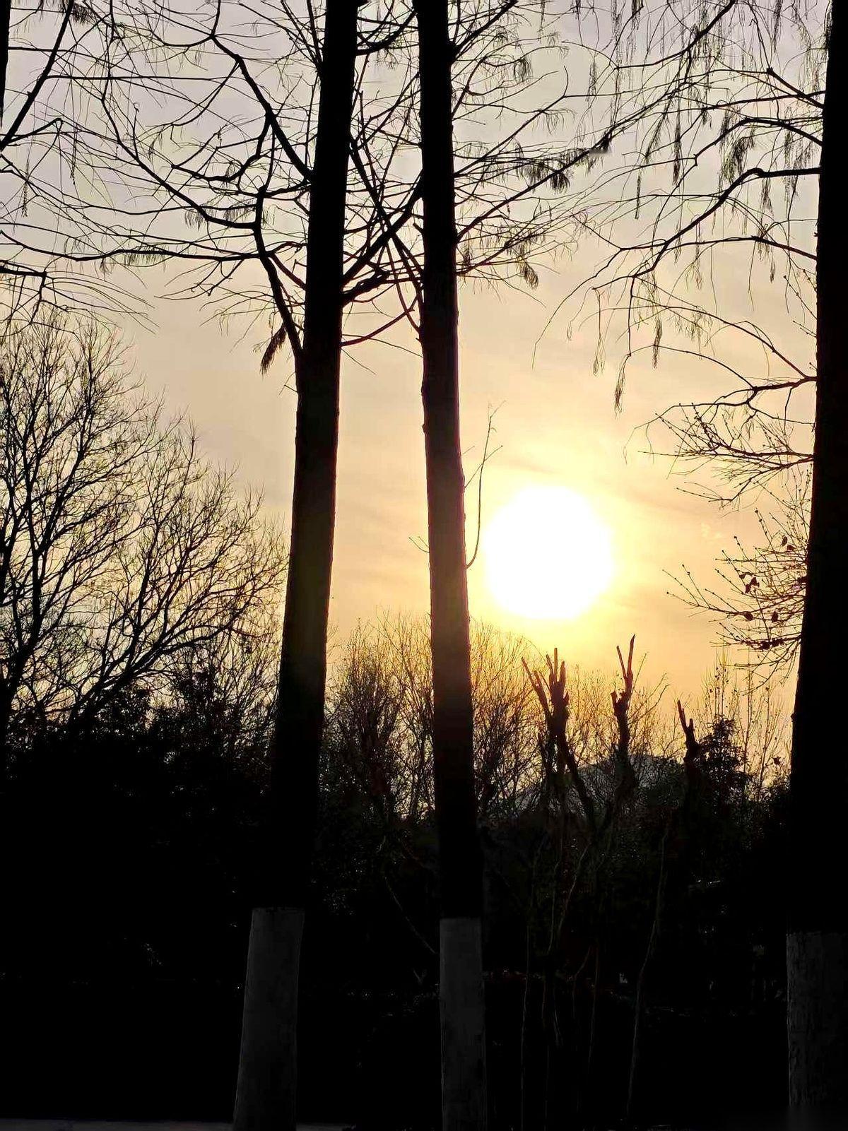 我爸今年一共灌了70斤香肠。70斤！我一开始还纳闷，说咱家是准备把这当饭吃吗