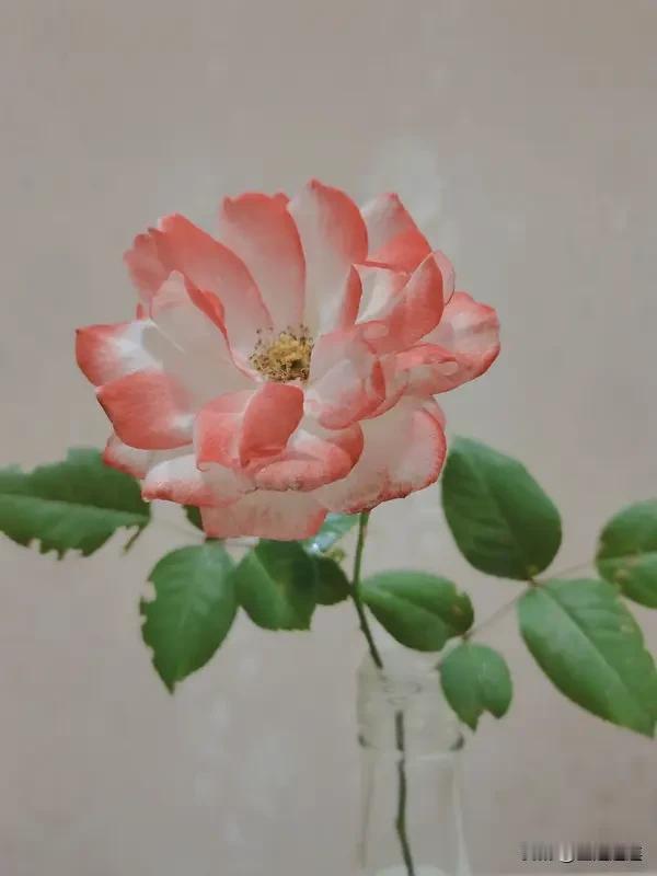 就像“浅浅深深河中水”这个上联，一瞅就有画面感，河水深浅不一，波光粼粼的。有人