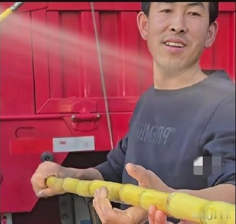 女子开车带着孩子在高速路上被堵，看到旁边一拉着甘蔗的大货车也被堵，于是要买货车司