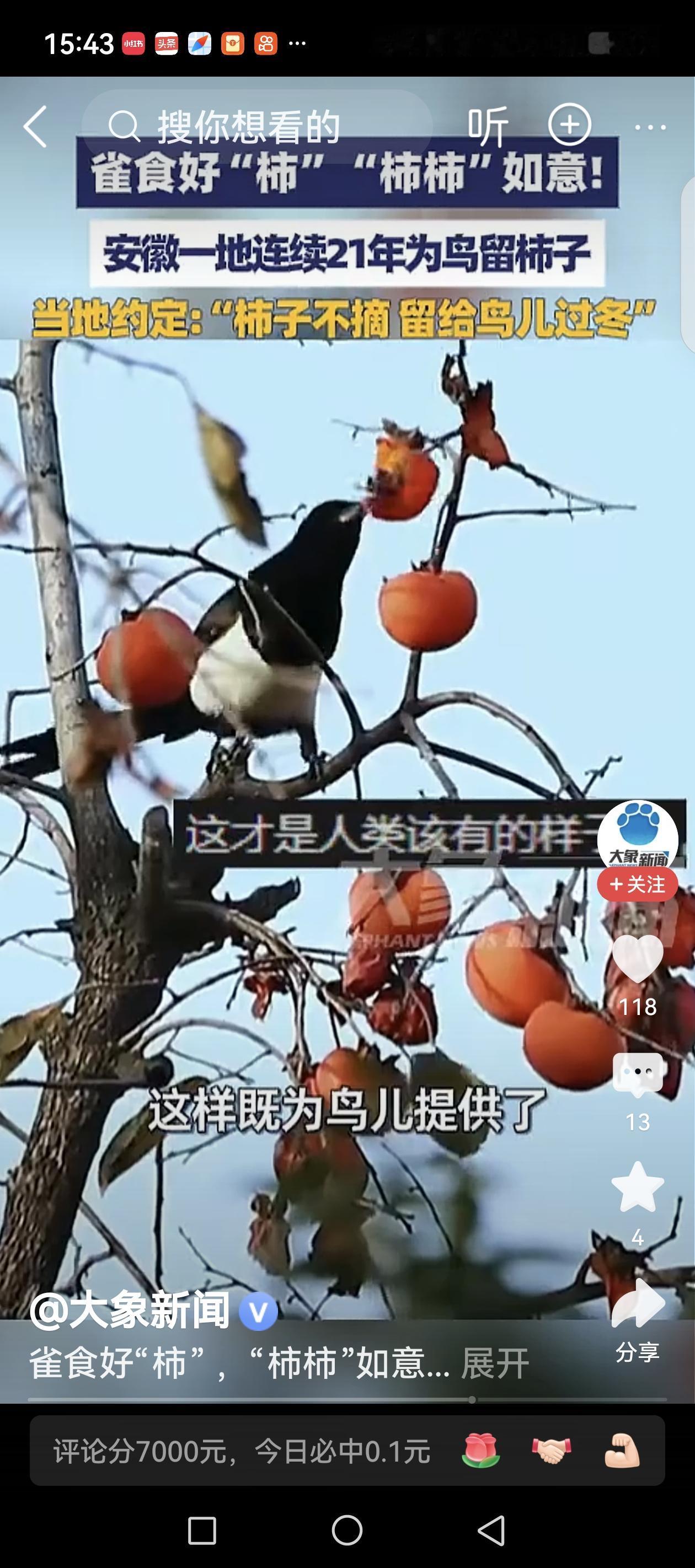 安徽这一地的做法堪称人与自然和谐相处的典范!据媒体报道,安徽颍上连续21年为