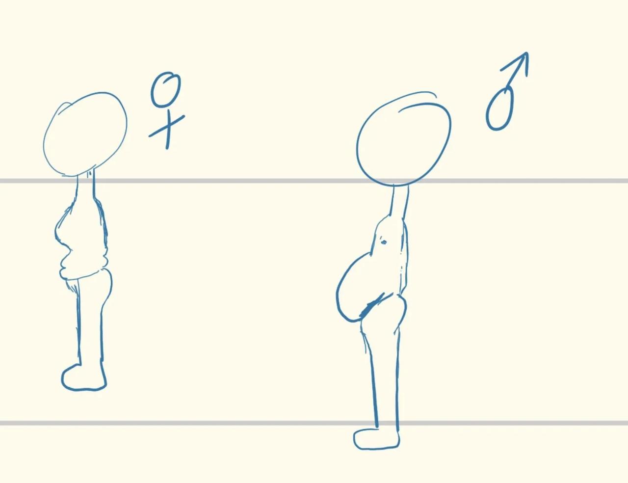 为什么中年男性胖肚子总是圆滚滚的，和怀孕一样，但是女性的却是一层一层的肉