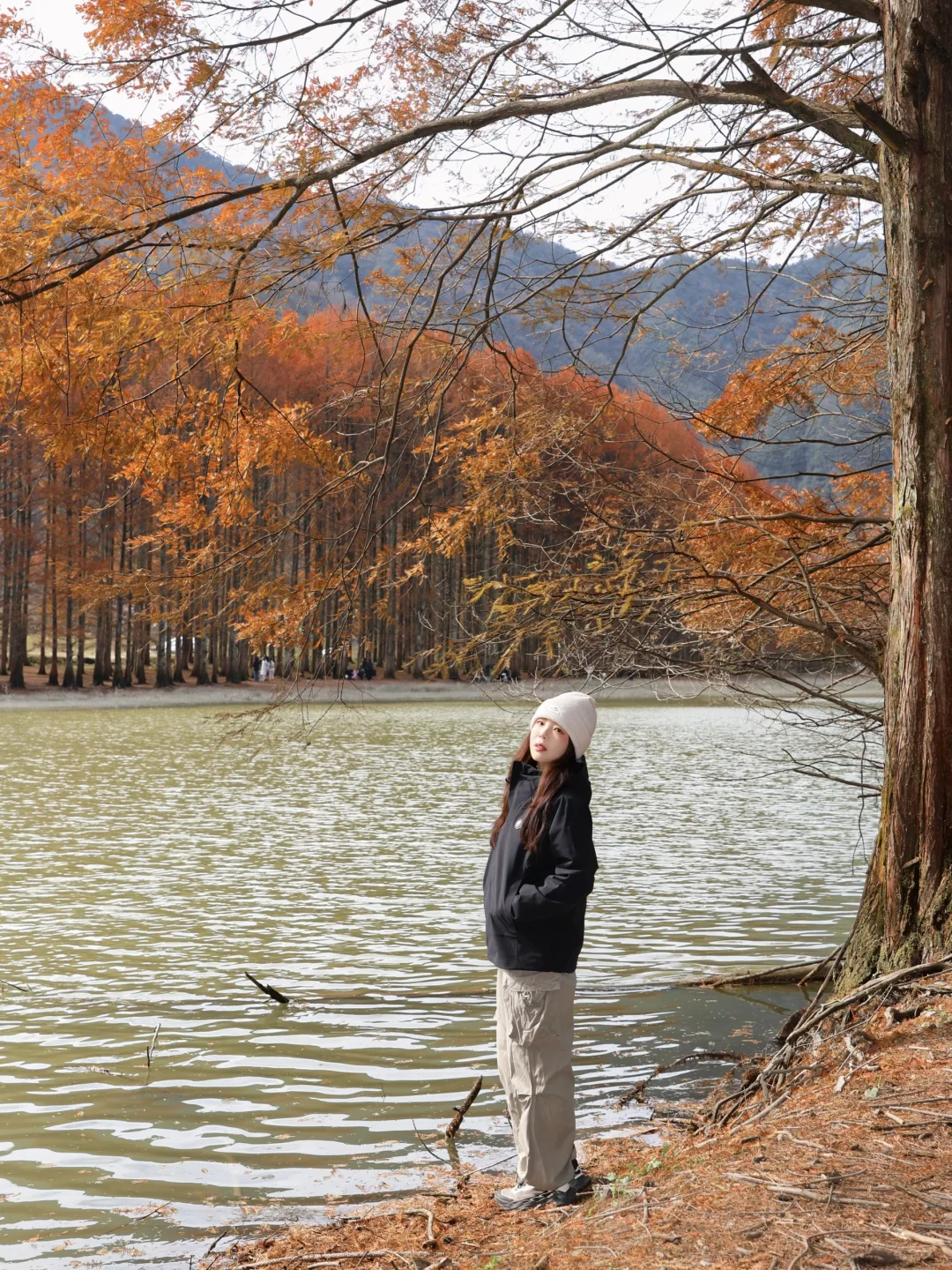 西安开车直达🍂龙池湖的秋天已美成喀纳斯❗️