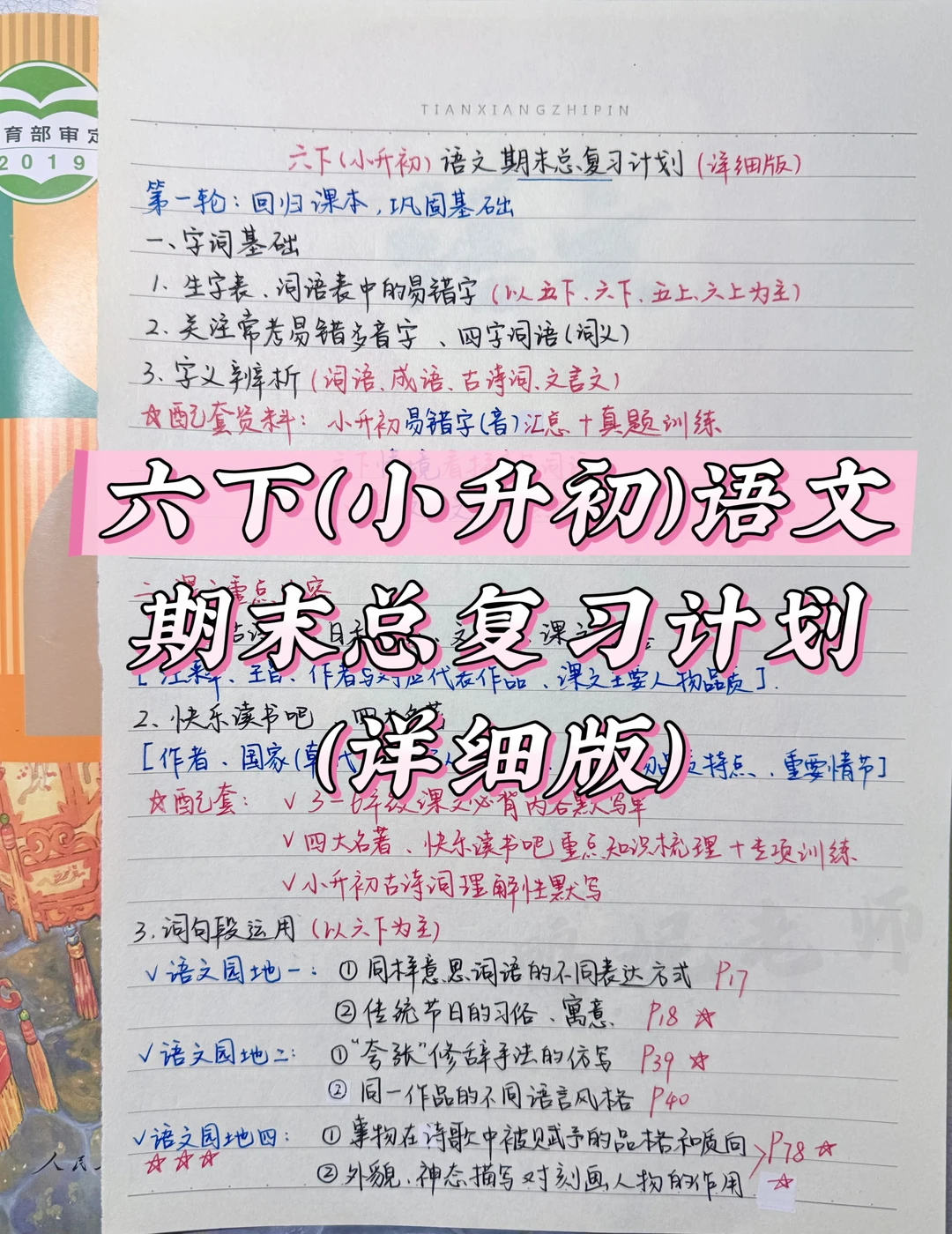小升初语文期末总复习计划（手写详细版）