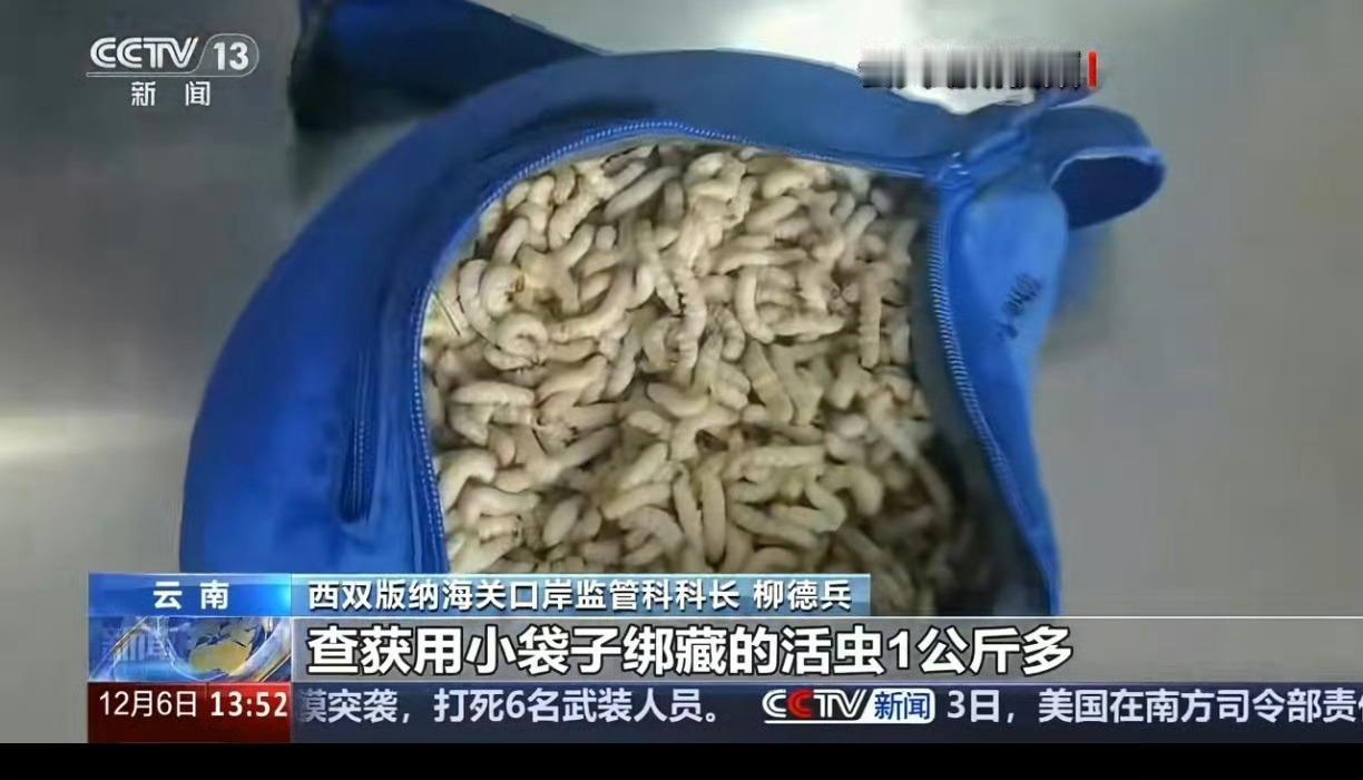 海关小姐姐上班第一天就遇到“人生阴影”——一位看起来文文静静的女旅客，裤子里居然