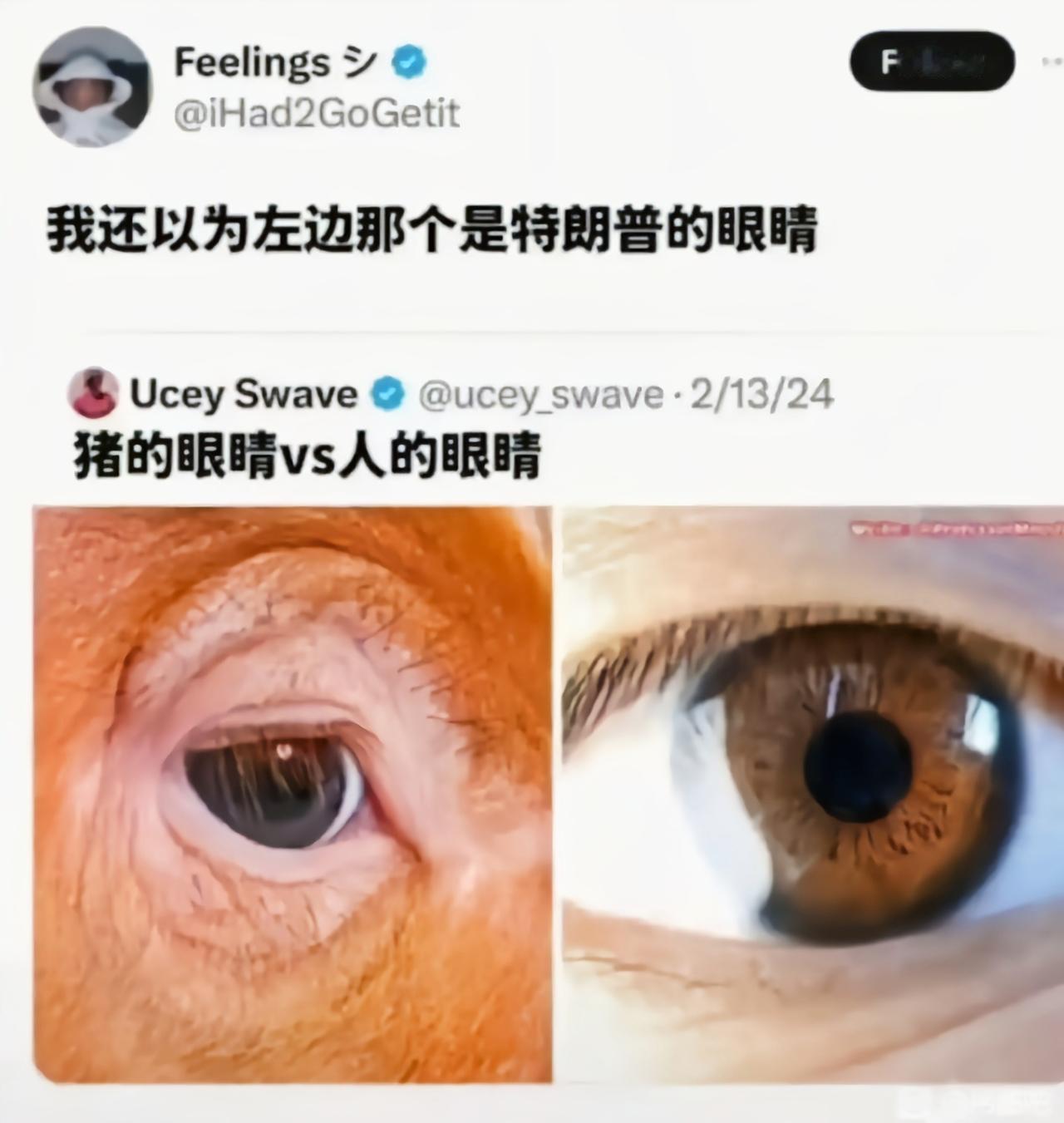 这看着还真像[吃瓜]