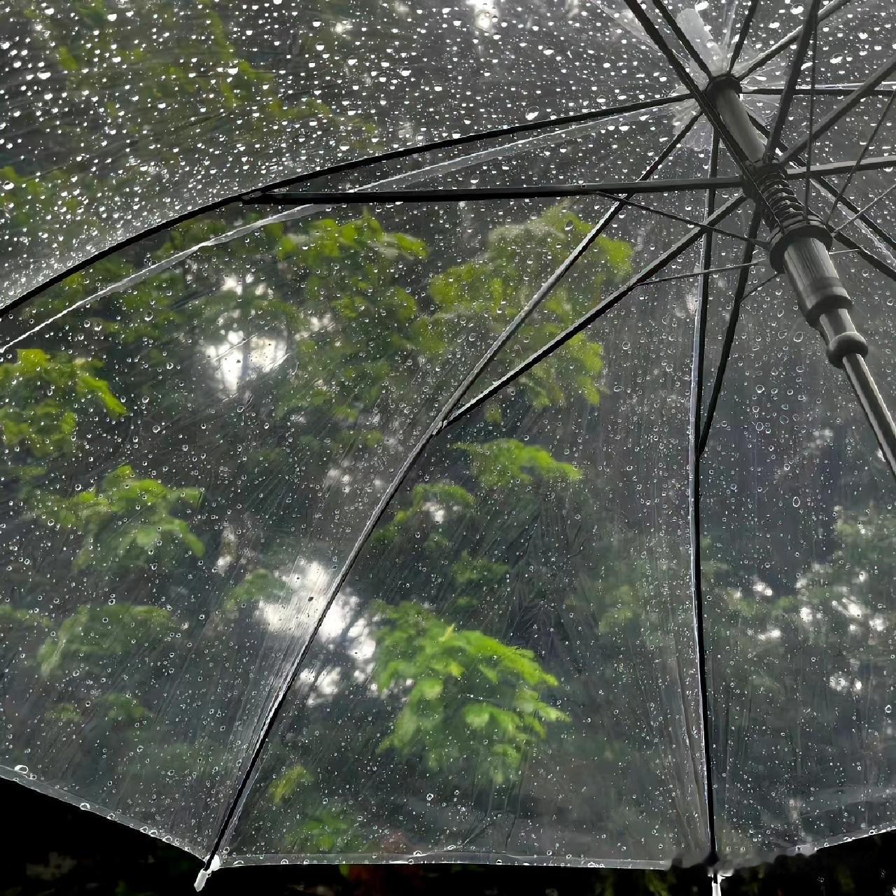 今日：有雨⛈如果你的心情也一直在下雨的话，请撑开伞让自己躲一下。