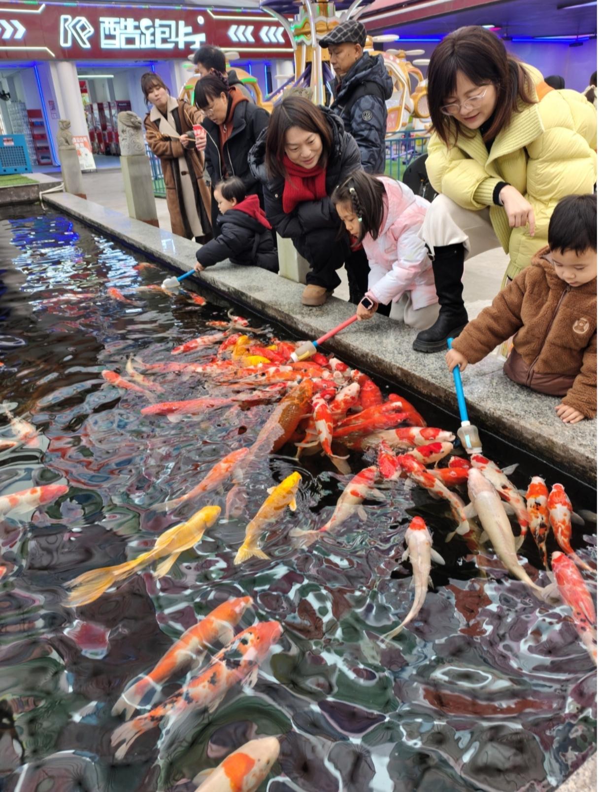 52000㎡巨幕灯光秀！成都跨年现场挤满游客成都的跨年夜可真是人挤人！天府双