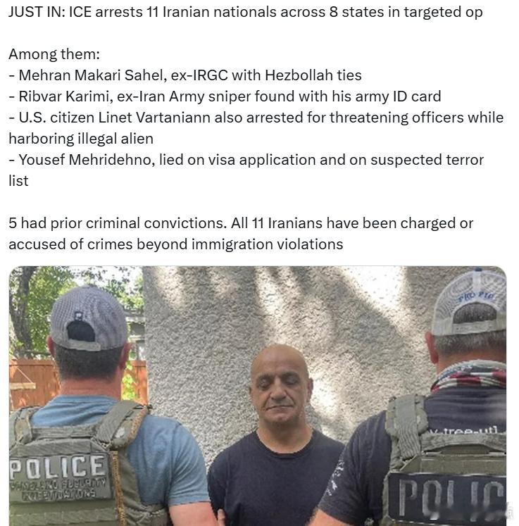 美国移民与海关执法局（ICE）在8个州展开针对性行动，逮捕了11名伊朗国民。其中