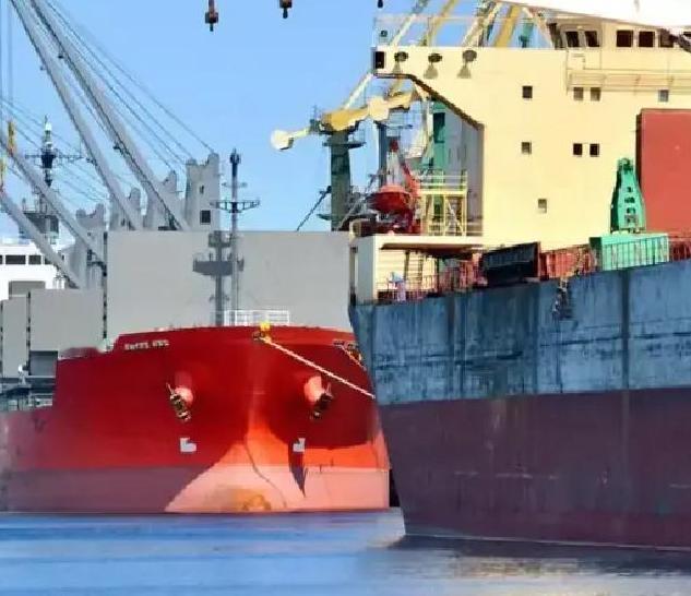 当一船满载6.9万吨巴西大豆的货轮靠泊江苏泰州码头时，谁也没想到，大豆中混入了约