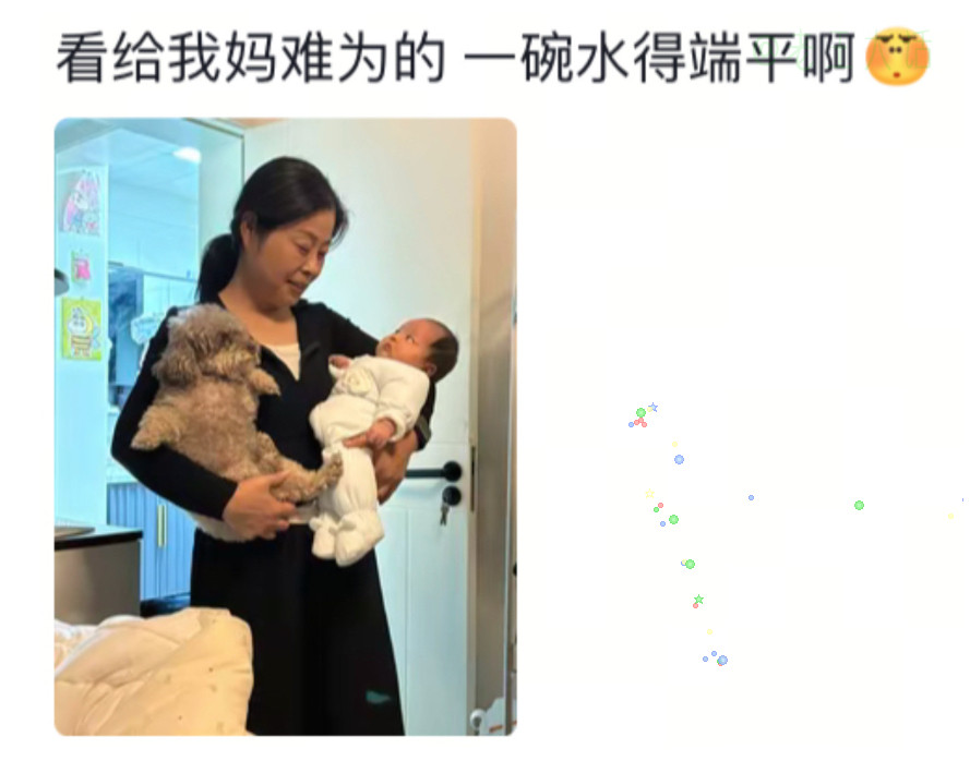 宠物当孩子养，孩子当宠物养。