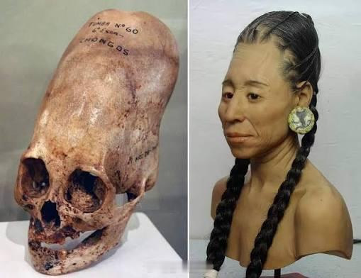 迄今为止发现的最细长的秘鲁头骨