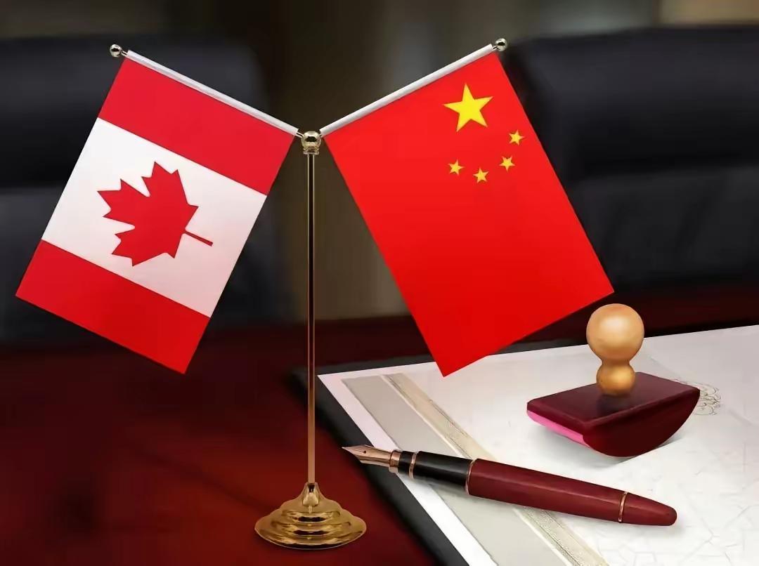 中美刚延长关税暂缓期后，中国一天内对加拿大连出三记“重拳”。第一招：油菜籽保