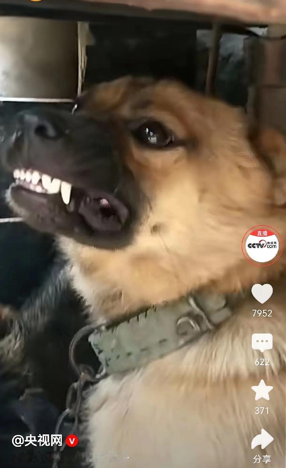 吠犬也怕斧子，这竟然是央视发的?要不直接指名道姓算了，又是被驴踢了，又是撒泡尿